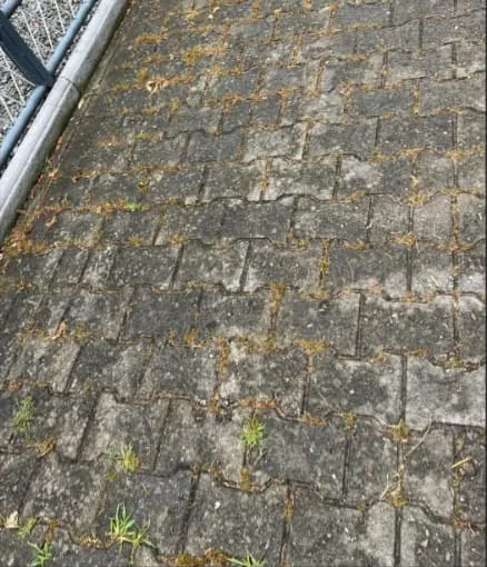 Chodnik z kostki brukowej przed czyszczeniem